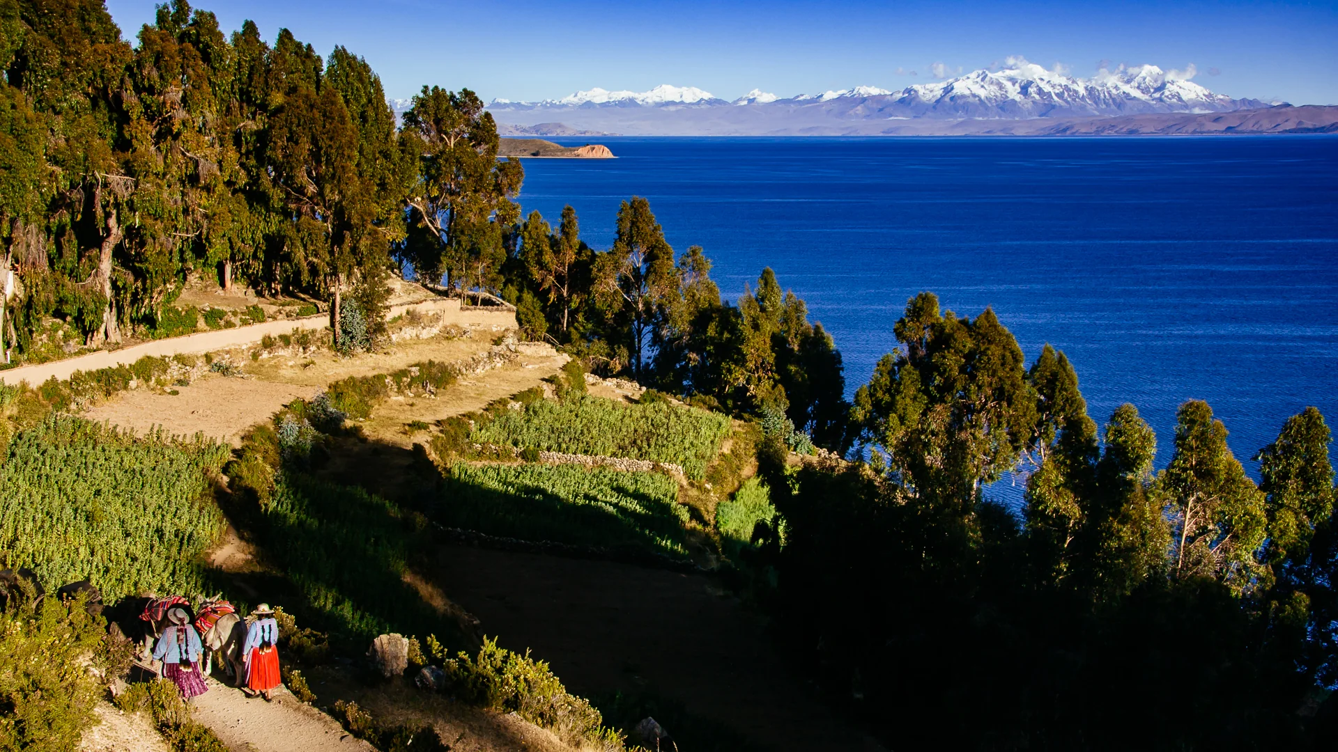 The shore of Lake Titicaca